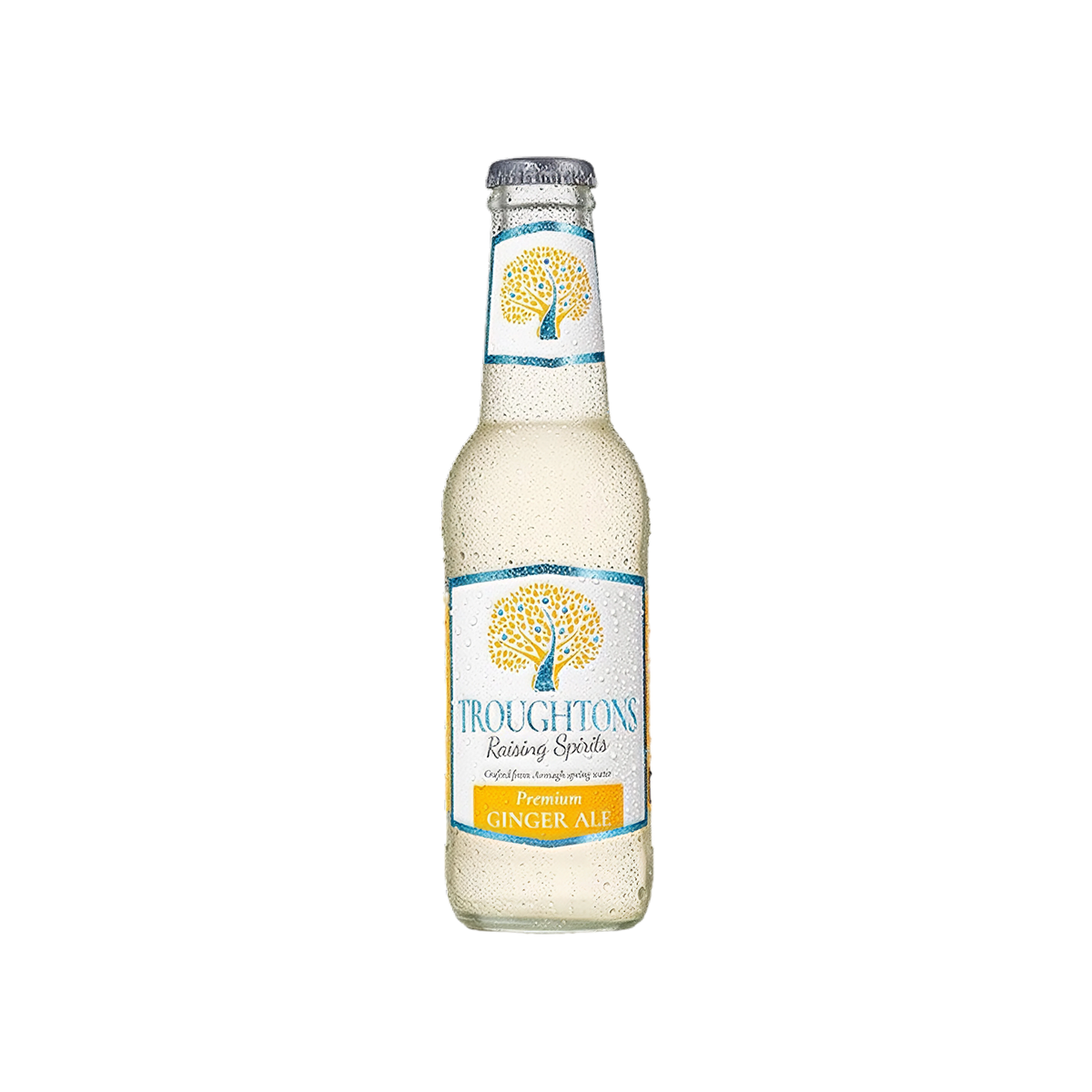 Troughtons Ginger Ale