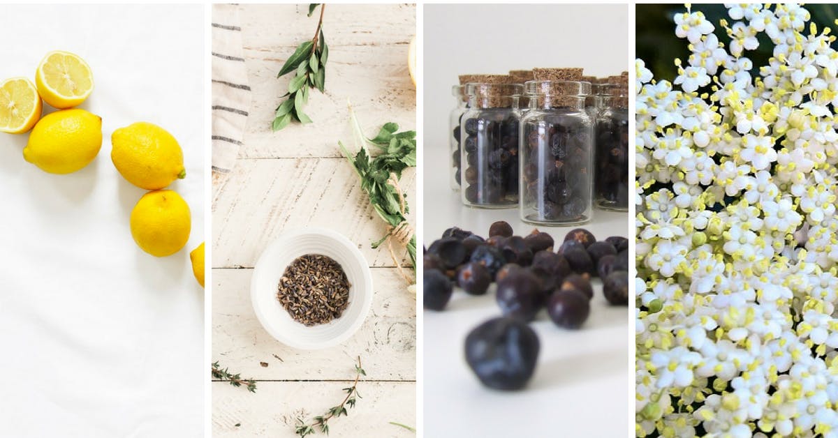 What gin style are you?