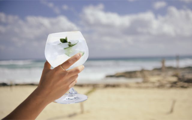 Pack your bags because a GIN Cruise is coming to the UK