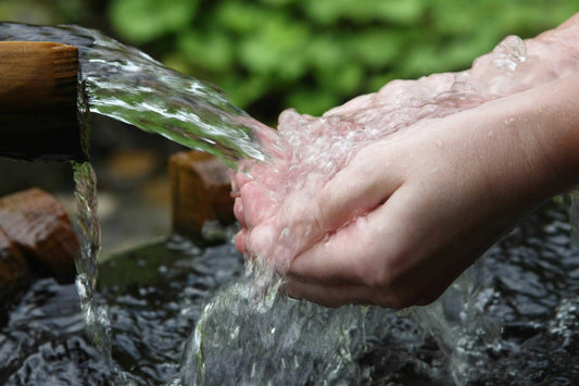 YOU SHOULD DEFINITELY DRINK MORE SPRING WATER THIS SPRING. IT’S FULL OF BENEFICIAL MINERALS AND IT MAKES GREAT GIN!