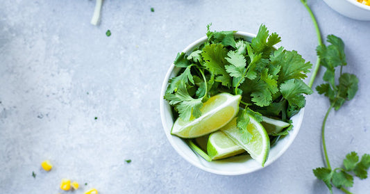 Tips and tricks to grow your own gin garnishes at home! 