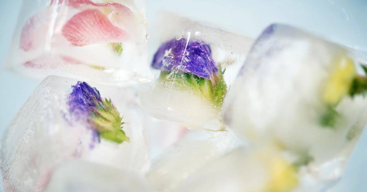 12 Ice Cube Hacks That Will Impress Your Drink Buddies Next Gin O'Clock
