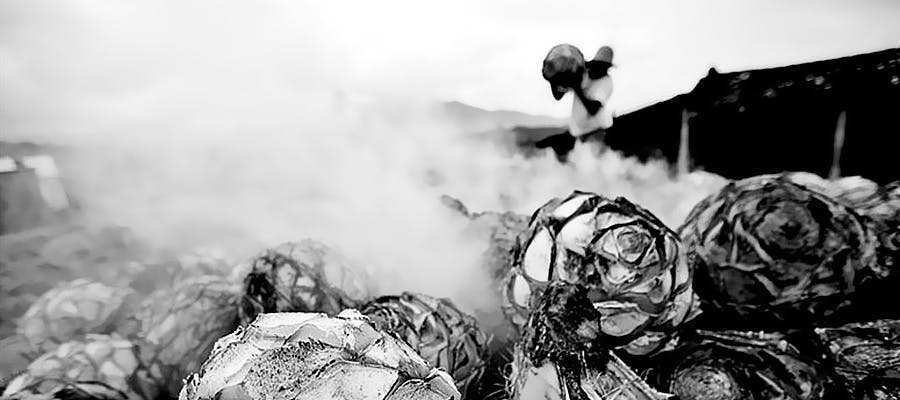 TRADING GIN FOR TEQUILA: WHY MEZCAL IS LIKE CRAFT GIN