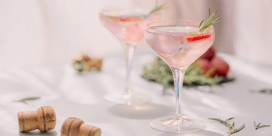 Tonic Water or Soda Water? We choose both for our cocktails and gin drinks!