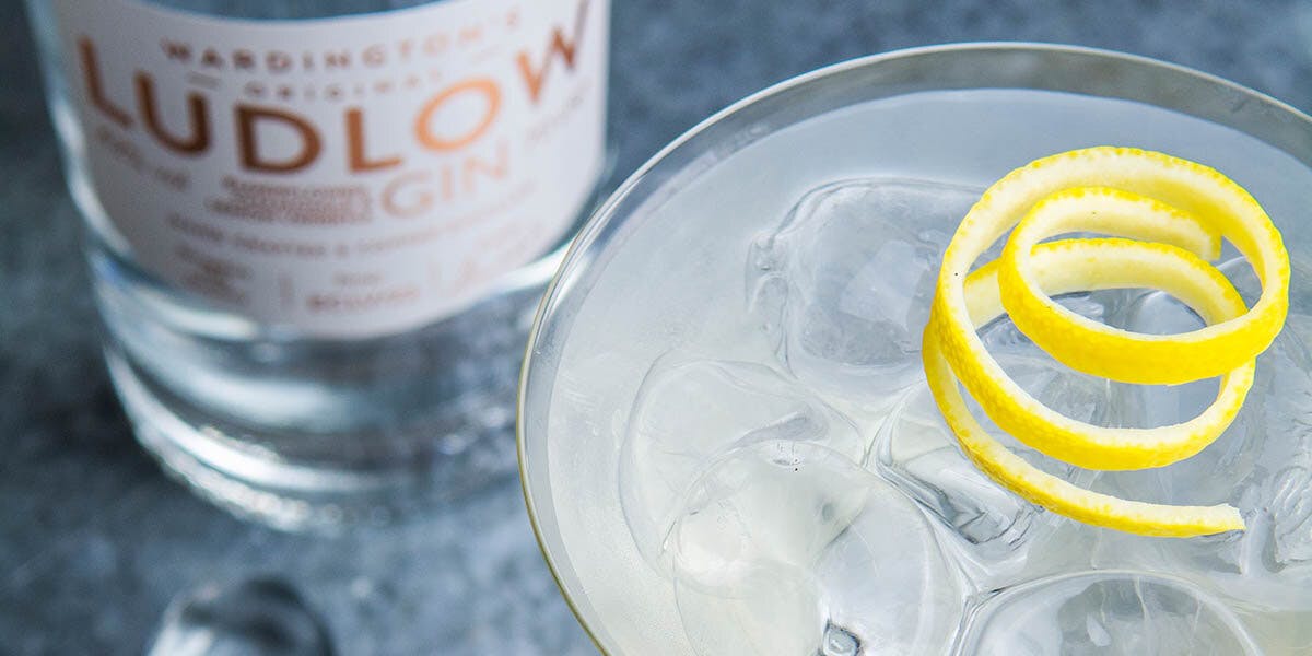 This elderflower, chamomile and lemon verbena scented Blond Martini is one very suave way to enjoy spring!