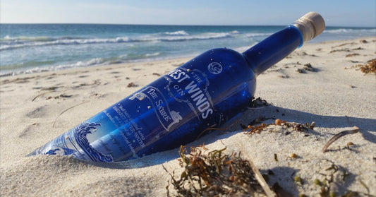 January’s Gin of the Month: The Sabre from The West Winds Gin
