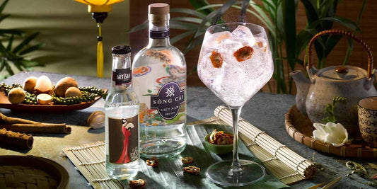 The perfect Sông Cái Việt Nam Dry Gin & Tonic recipe!