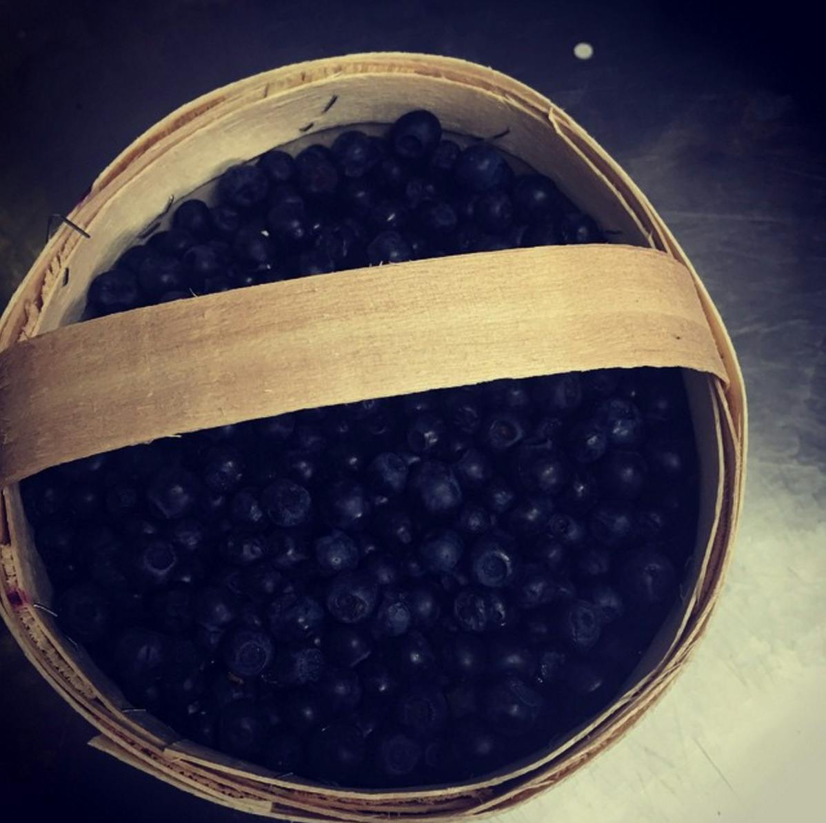 Gin Joint of the Month: Norse