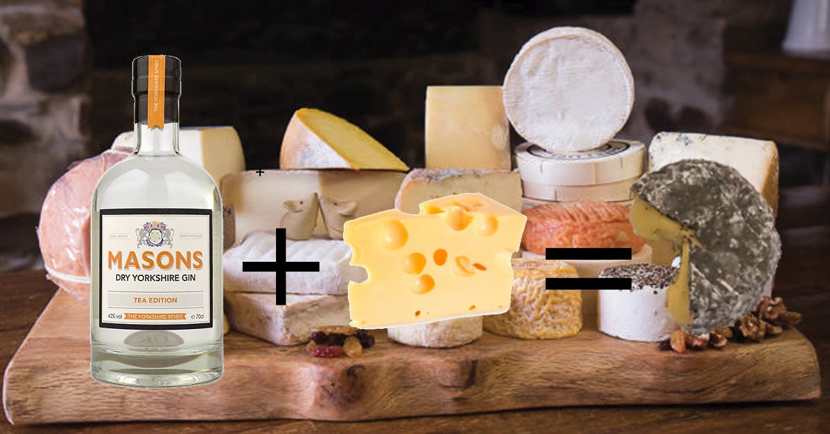 Gin Cheese? Yes Please! 🧀🍸