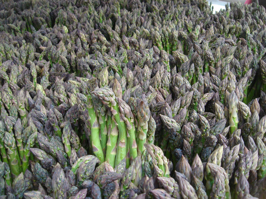 The 7 best ginnovations this September: asparagus gin and unicorn tears