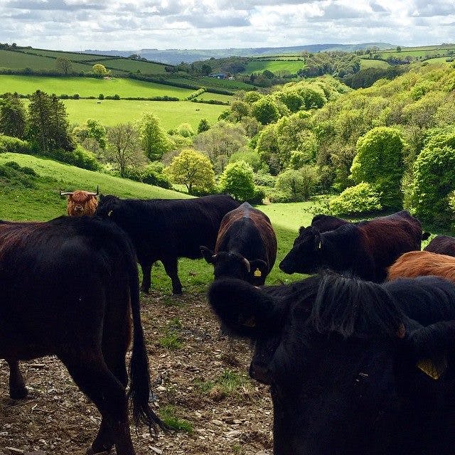 Craft Gin Club Summer Road Trip: whet your whistle in Wales