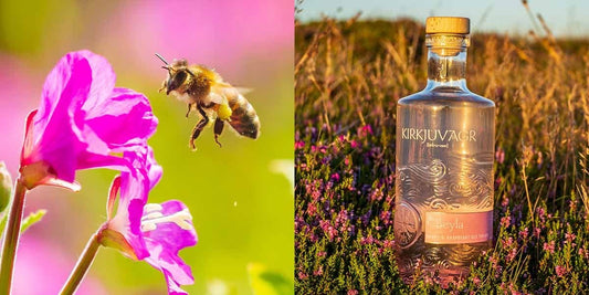 This Kirkjuvagr Beyla Honey & Raspberry Old Tom Gin and tonic is saving the bees!