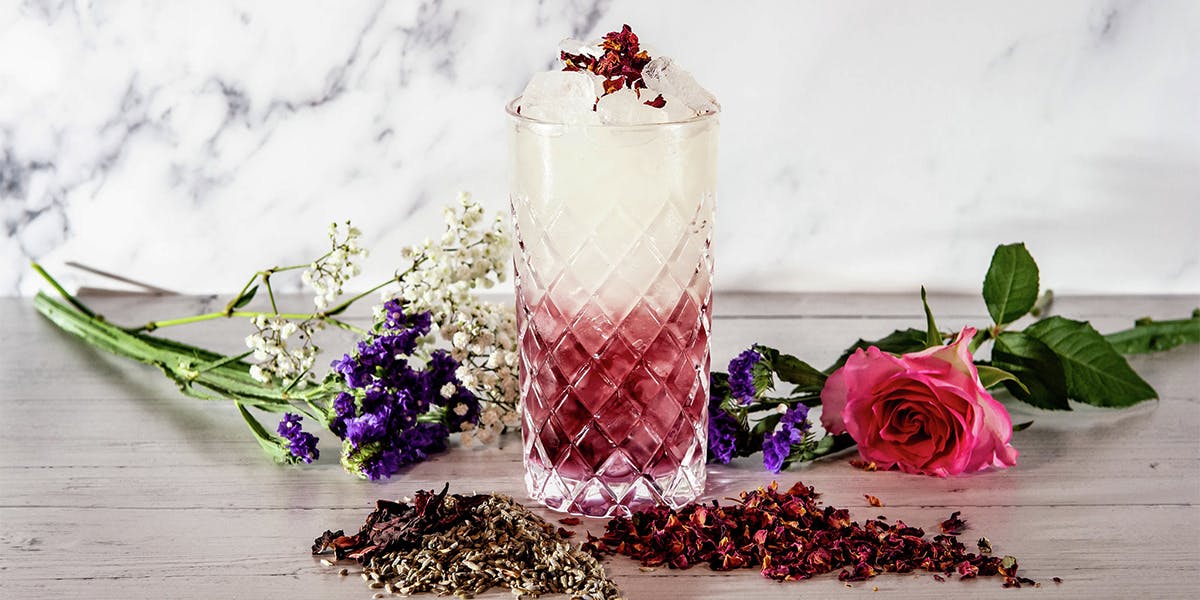 Is the Cranberry & Lychee Collins the most handsome drink of the summer?