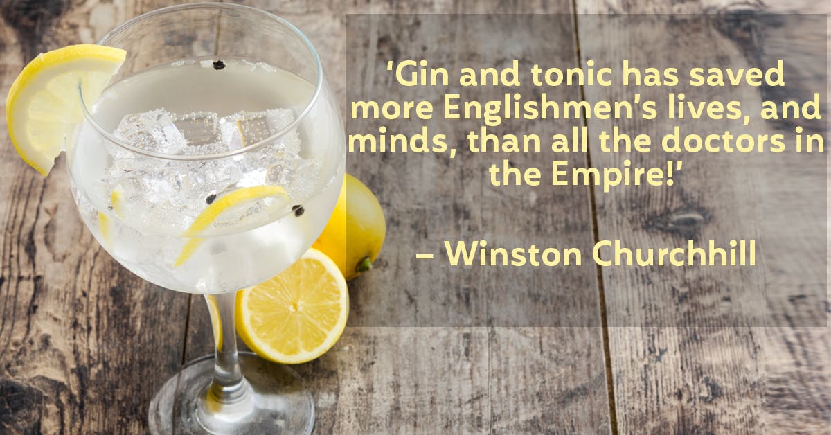 How does tree bark play a part in your G&T?!