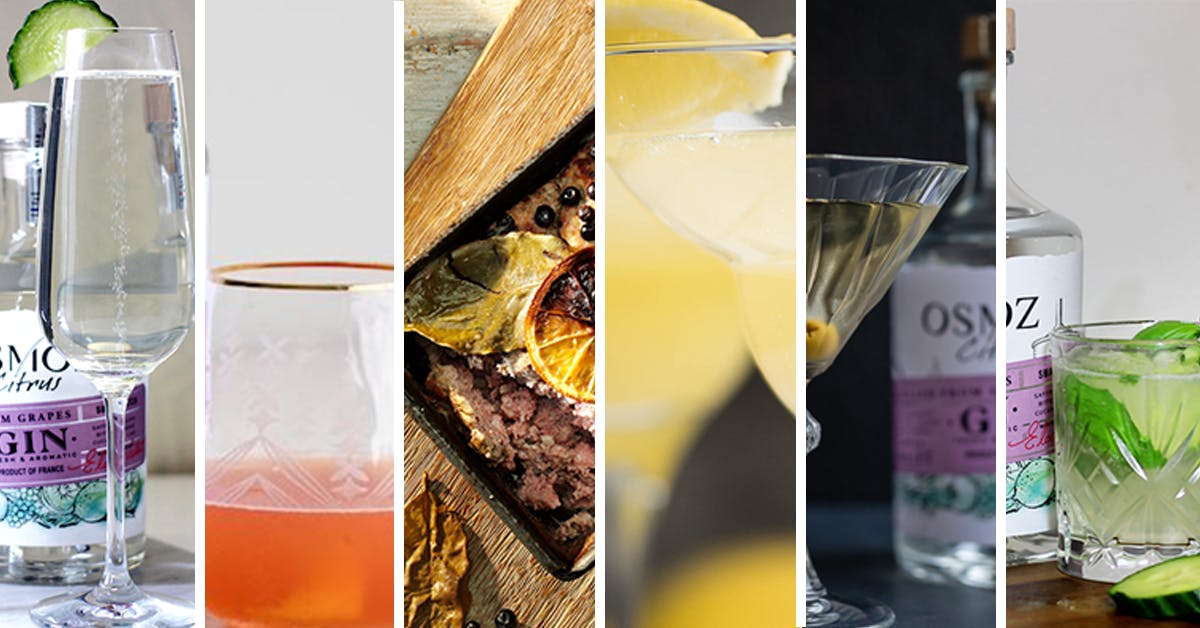 6 ways to finish off the beautiful Osmoz Gin!