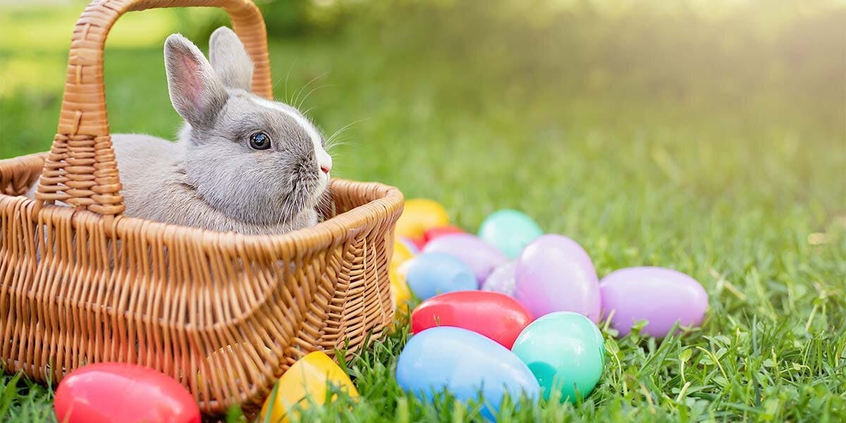 Easter Bunny Quiz: Tell us what kind of gin-lover you are and we'll tell you which famous bunny rabbit you are!