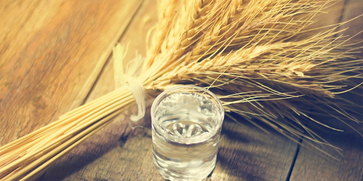 Everything you need to know about Vodka!