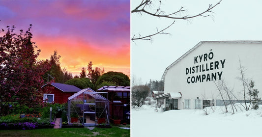 5 Reasons Finland Is Set to Be the Next Nordic Hotspot