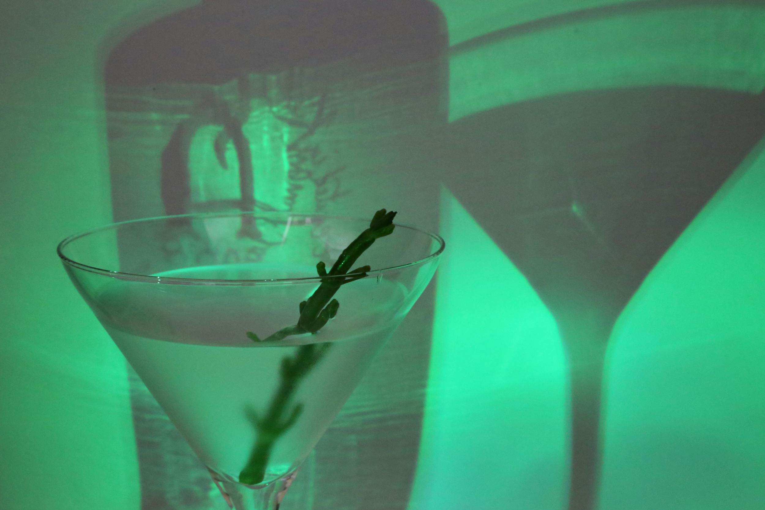 Celebrate World Cocktail Day 2015 exactly how Anno Distillers - our Gin of the Month - meant you to celebrate it