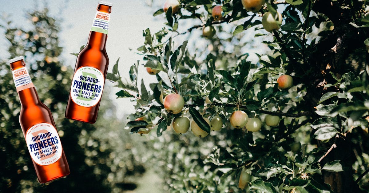 How to: Taste Cider! 