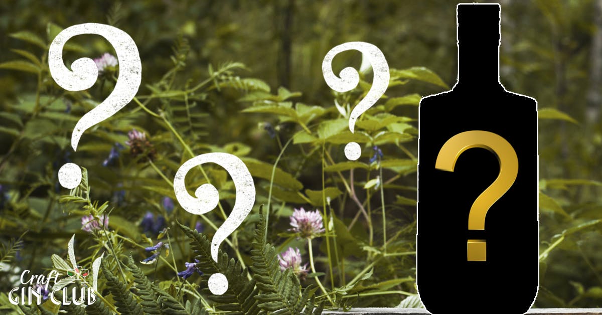 *SPOILER ALERT* August's Gin of the Month is here! What's inside?
