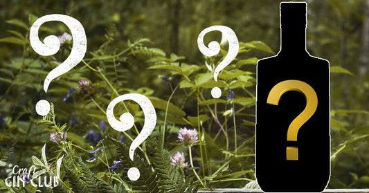 *SPOILER ALERT* August's Gin of the Month is here! What's inside?