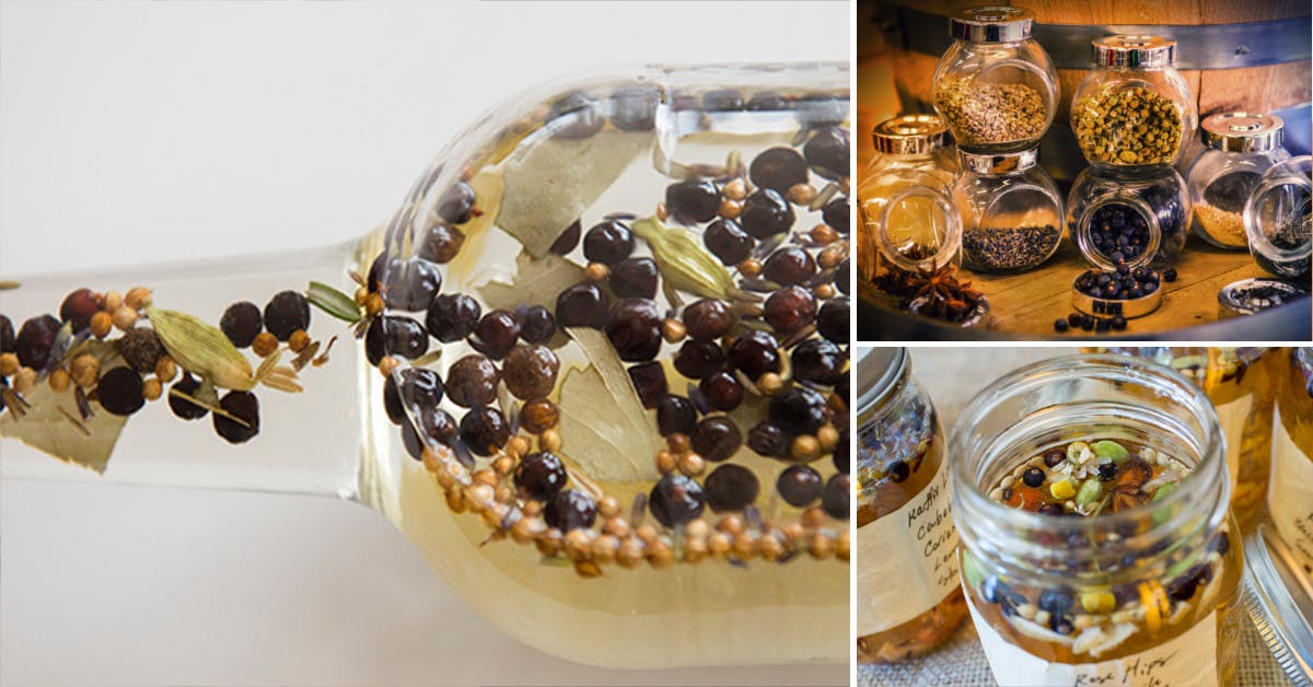 The Week in Gin: Homemade Gin, Eurovision Drinking & Barrel-Aged Gin Negronis