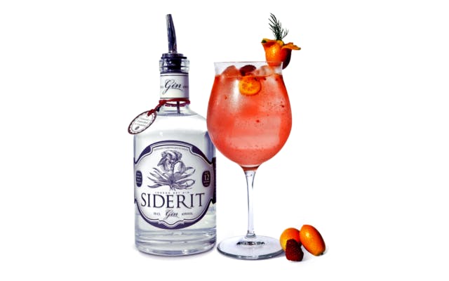 Cocktail of the Week: Raspberry Gin and Tonic