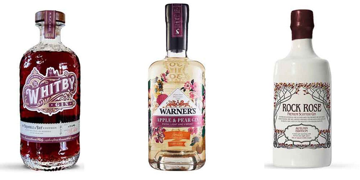 10 of the best gins for autumn!