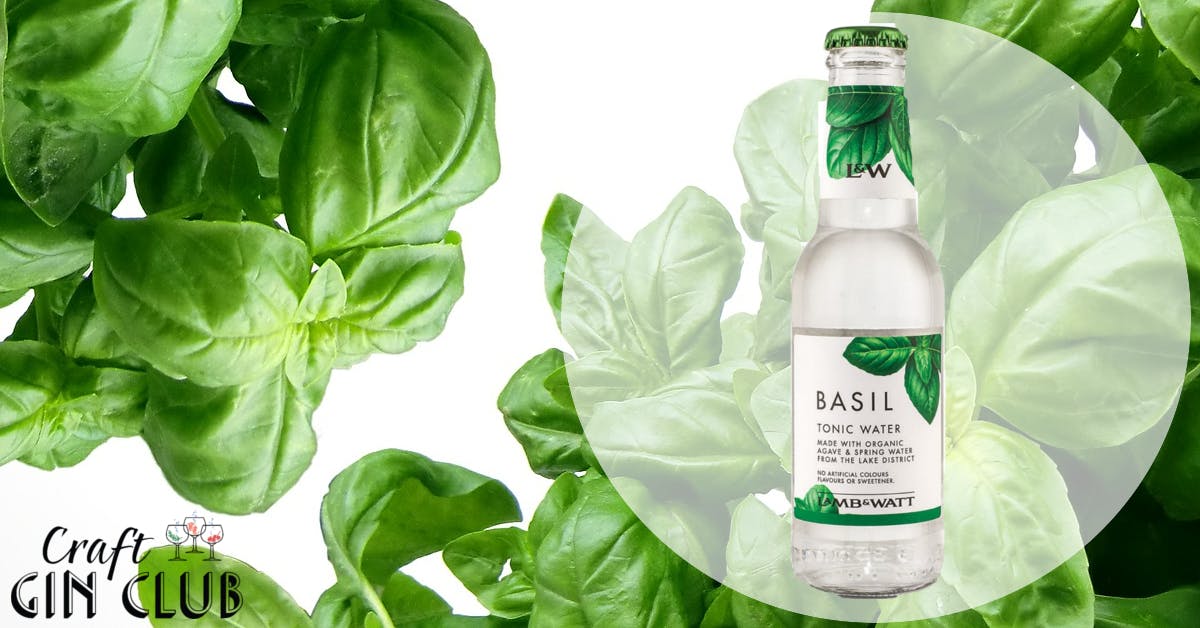 For an extraordinary G&T - Basil Tonic!