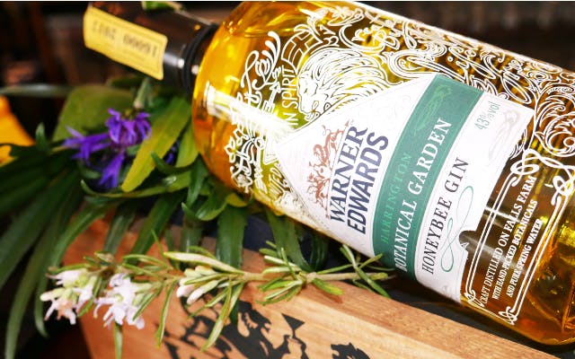 'Bee' prepared to get excited about June 2017's fabulous gin of the month! 