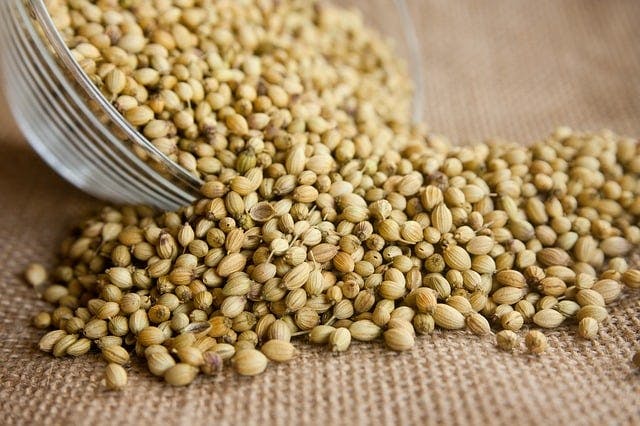 Botanicals Guide: Coriander & A Green Detox Juice