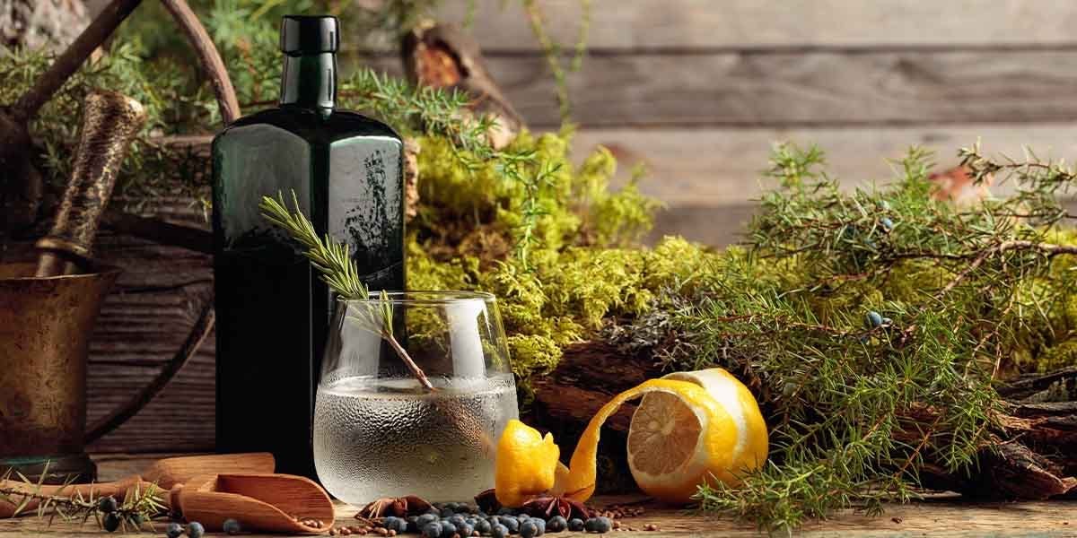 What is London dry gin? Why is it called "London dry"? Is it different from gin? We reveal all, right here! 