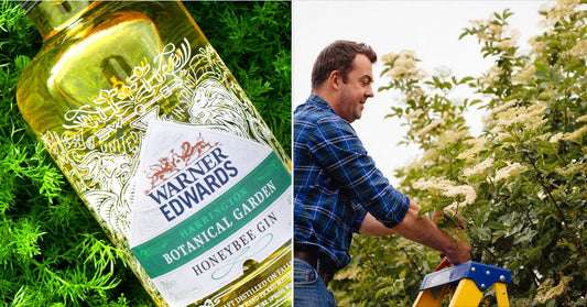 Meet the gin of the summer: Warner's Honeybee Gin