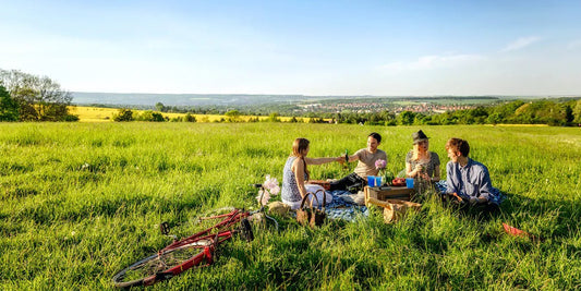 4 essential steps to holding the perfect gin picnic this summer