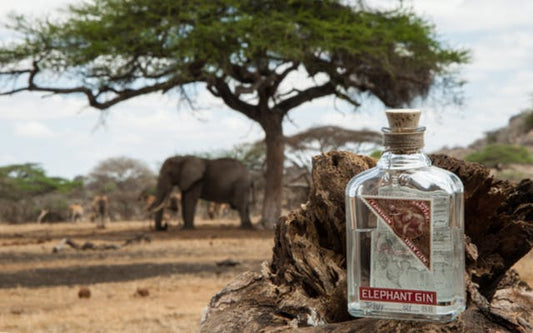 Elephant Gin: African taste, German quality and a really big heart