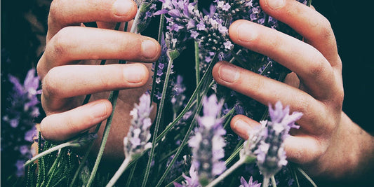 Grow your own cocktail garnishes: 7 pretty plants you can cultivate at home