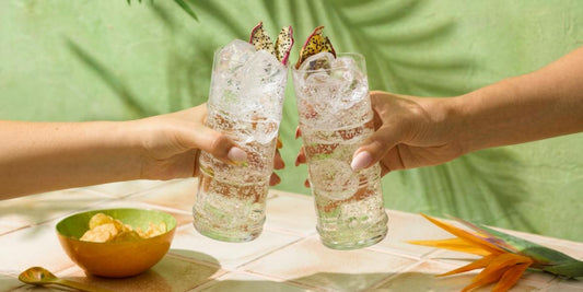 How To Make The Perfect Gin and Tonic 