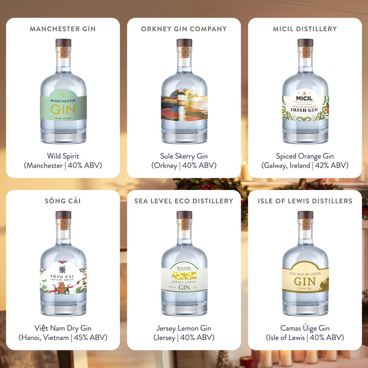 Gin Advent Calendar