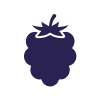 tasting_note_{{ forloop.index }}