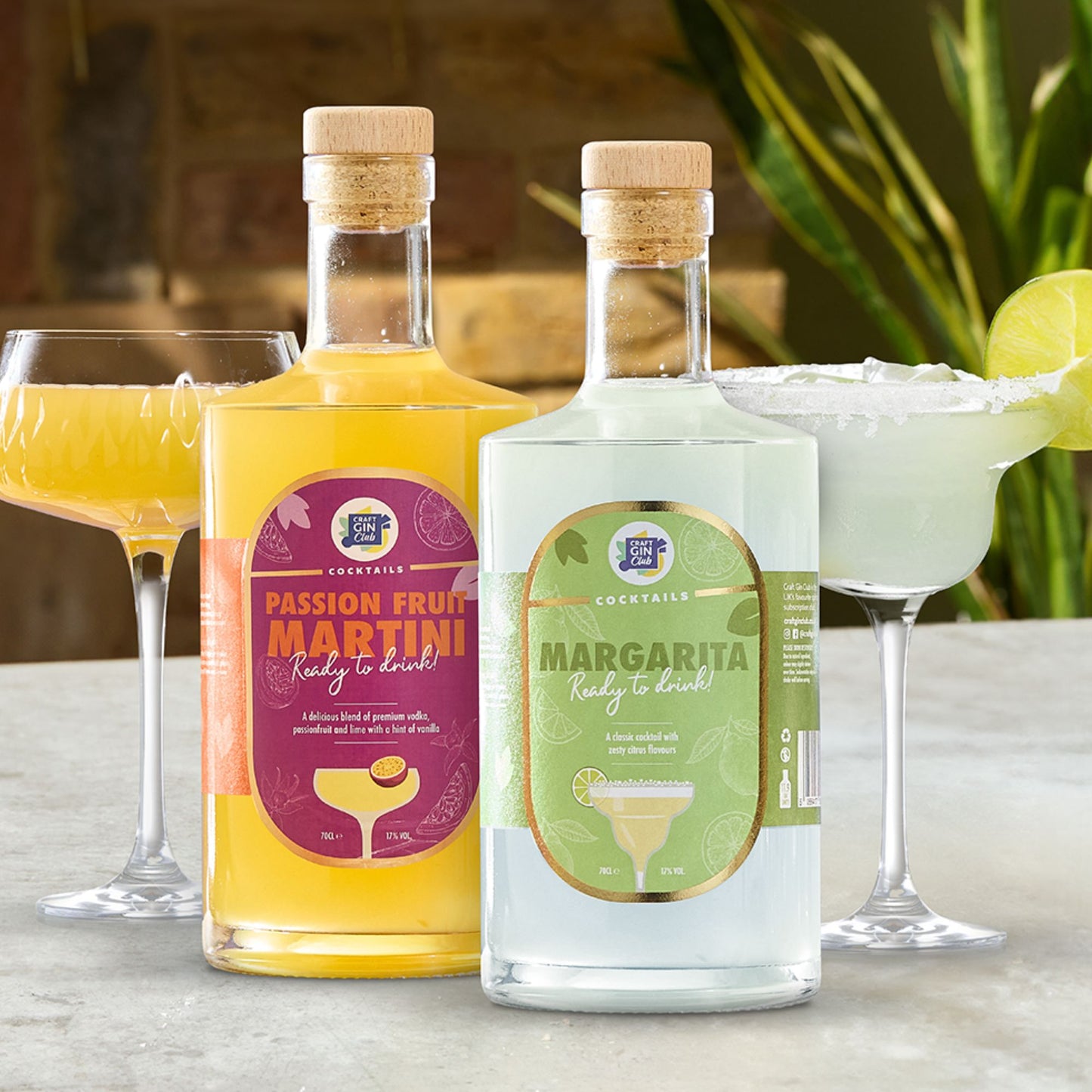 Margarita & Passion Fruit Martini Cocktail Bundle | 2 x ABV 17% 70cl