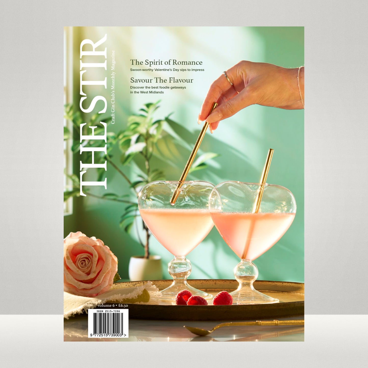The Stir Magazine