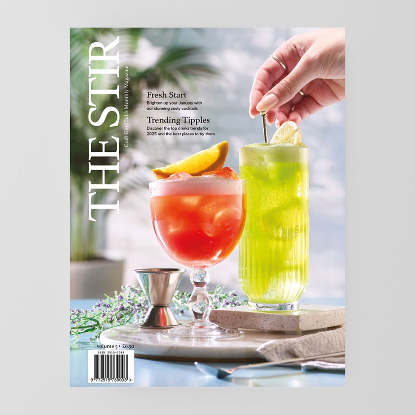 The Stir Magazine