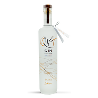 QVT Dry Gin | ABV 43.7% 70cl